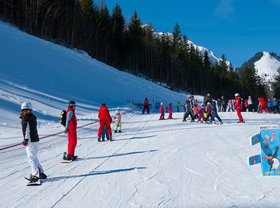 Wiesenlift 2 - © Albin Niederstrasser