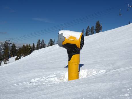 Sneeuwzekerheid Canada – Sneeuwzekerheid Panorama