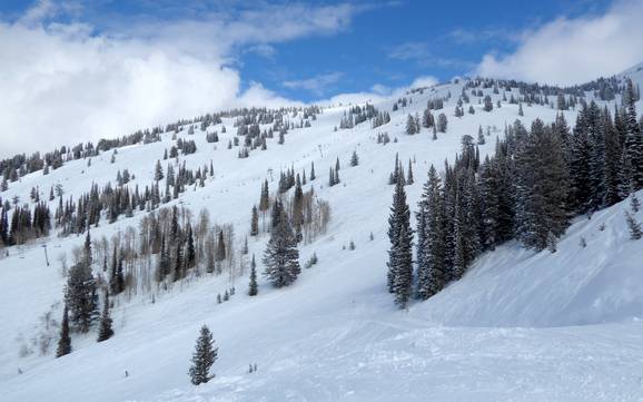 Beste skigebied in de Teton Range – Beoordeling Grand Targhee Beste skigebied in de Teton Range – Beoordeling Grand Targhee