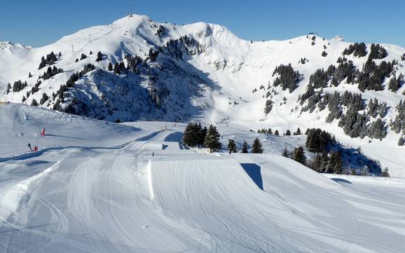 Snowparken Lake Geneva Region – Snowpark Villars/Gryon/Les Diablerets