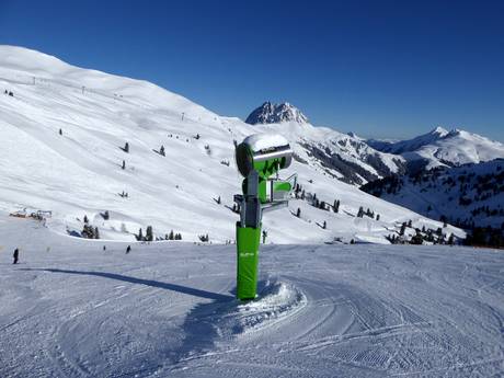 Sneeuwzekerheid Zell am See – Sneeuwzekerheid Wildkogel – Neukirchen/Bramberg