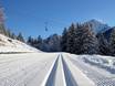 Langlaufen Franstalige deel van Zwitserland (Romandië) – Langlaufen Villars/Gryon/Les Diablerets