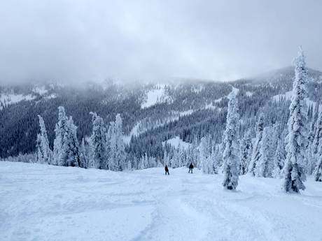 Skigebieden voor gevorderden en off-piste skiërs Kootenay Boundary – Gevorderden, off-piste skiërs Red Mountain Resort – Rossland