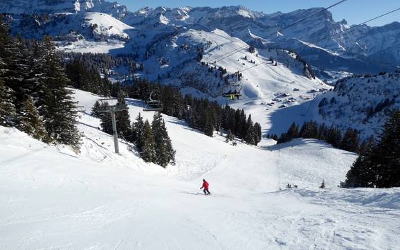 Skigebieden voor gevorderden en off-piste skiërs Lake Geneva Region – Gevorderden, off-piste skiërs Villars/Gryon/Les Diablerets