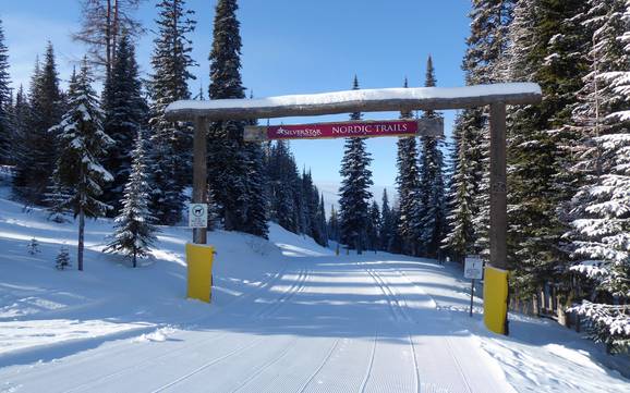 Langlaufen North Okanagan – Langlaufen SilverStar