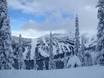 Wereldwijd: beoordelingen van skigebieden – Beoordeling Whitewater – Nelson