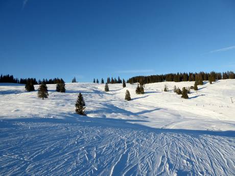 Tennengau: milieuvriendelijkheid van de skigebieden – Milieuvriendelijkheid Postalm am Wolfgangsee