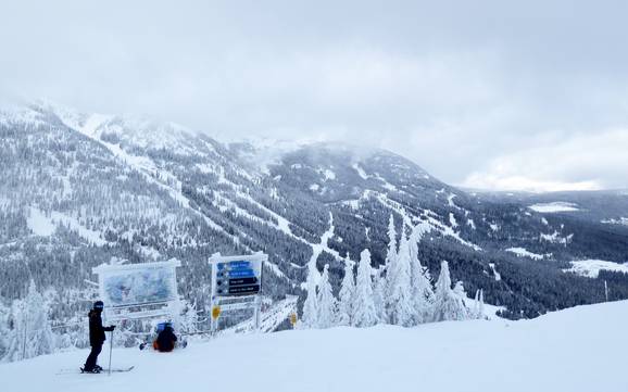 Beste skigebied in de Monashee Mountains – Beoordeling Red Mountain Resort – Rossland