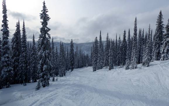 Pisteaanbod Central Kootenay – Pisteaanbod Whitewater – Nelson