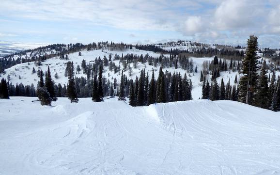 Snowparken Teton Range – Snowpark Grand Targhee Snowparken Teton Range – Snowpark Grand Targhee