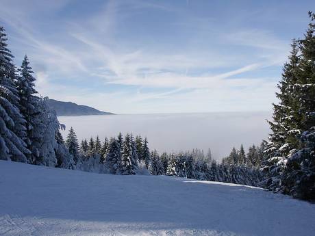 Ammergauer Alpen: beoordelingen van skigebieden – Beoordeling Hörnle – Bad Kohlgrub