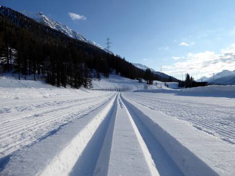 Langlaufen Graubünden – Langlaufen Zuoz – Pizzet/Albanas