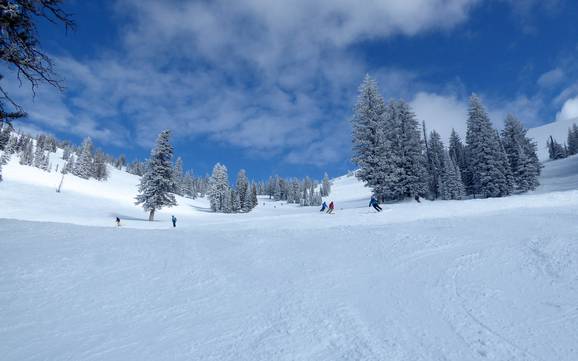 Pisteaanbod Teton Range – Pisteaanbod Grand Targhee Pisteaanbod Teton Range – Pisteaanbod Grand Targhee