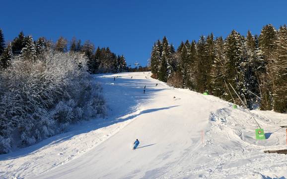 Pisteaanbod Alpsee-Grünten – Pisteaanbod Ofterschwang/Gunzesried – Ofterschwanger Horn