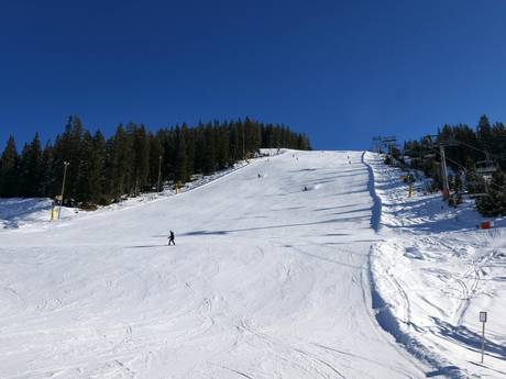 Skigebieden voor gevorderden en off-piste skiërs Skischaukel Kappl & See – Gevorderden, off-piste skiërs See